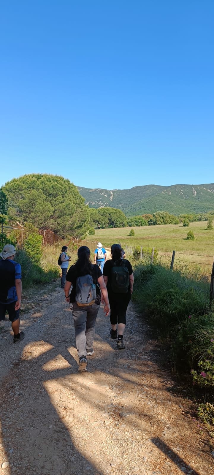 Caminhada de grupo com vista para a Serra da Arrábida
