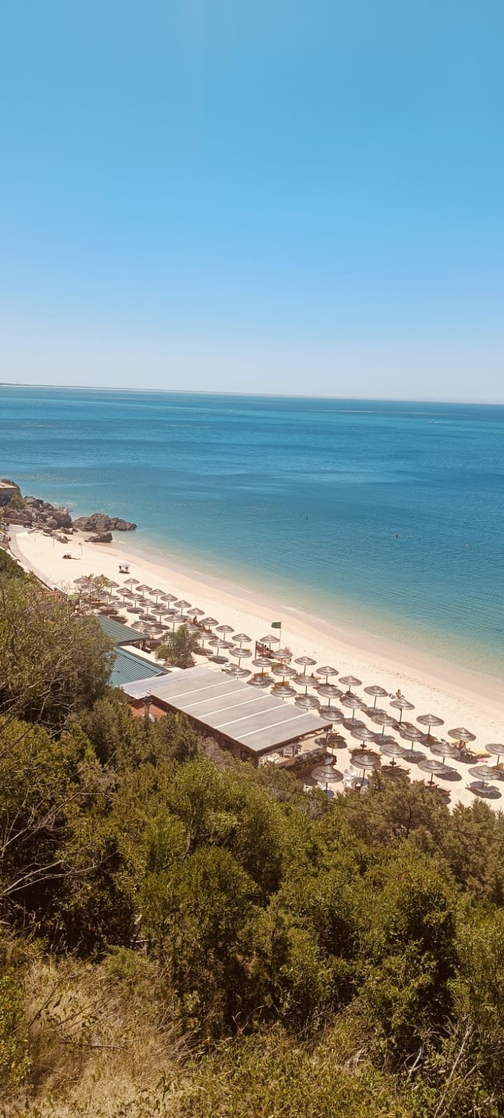 Vista aérea de praia com guarda-sóis